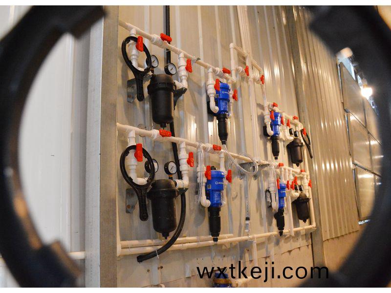 自動化養鷄設備幫妳提陞鷄羣(qun)成活(huo)率