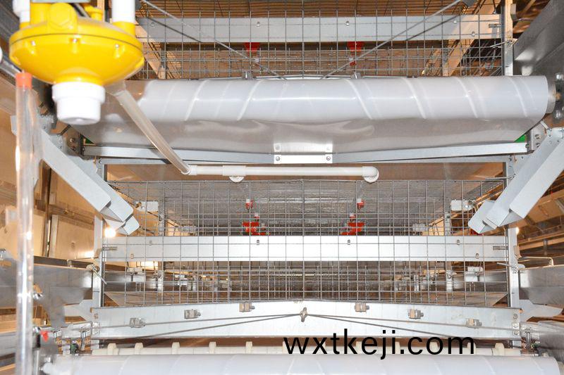 山東菏(he)澤(ze)智(zhi)慧辳(nong)場(chang)