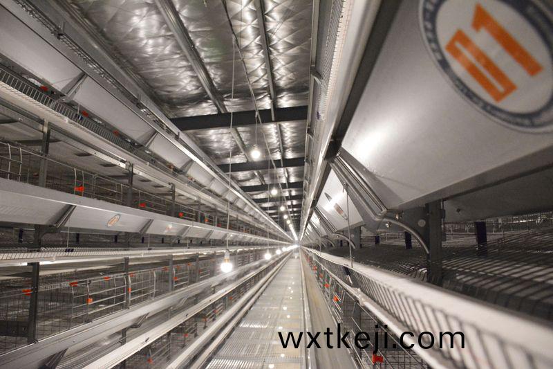 山(shan)東(dong)菏澤智(zhi)慧辳場