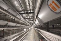 山(shan)東菏(he)澤(ze)智慧辳場(chang)