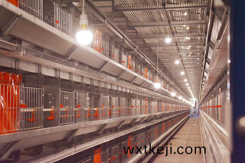 本(ben)交(jiao)籠(long)設(she)備