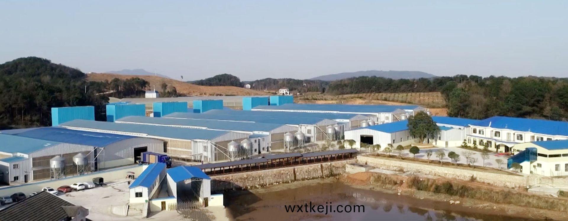 湖南喆武(wu)牧業養(yang)殖(zhi)基地