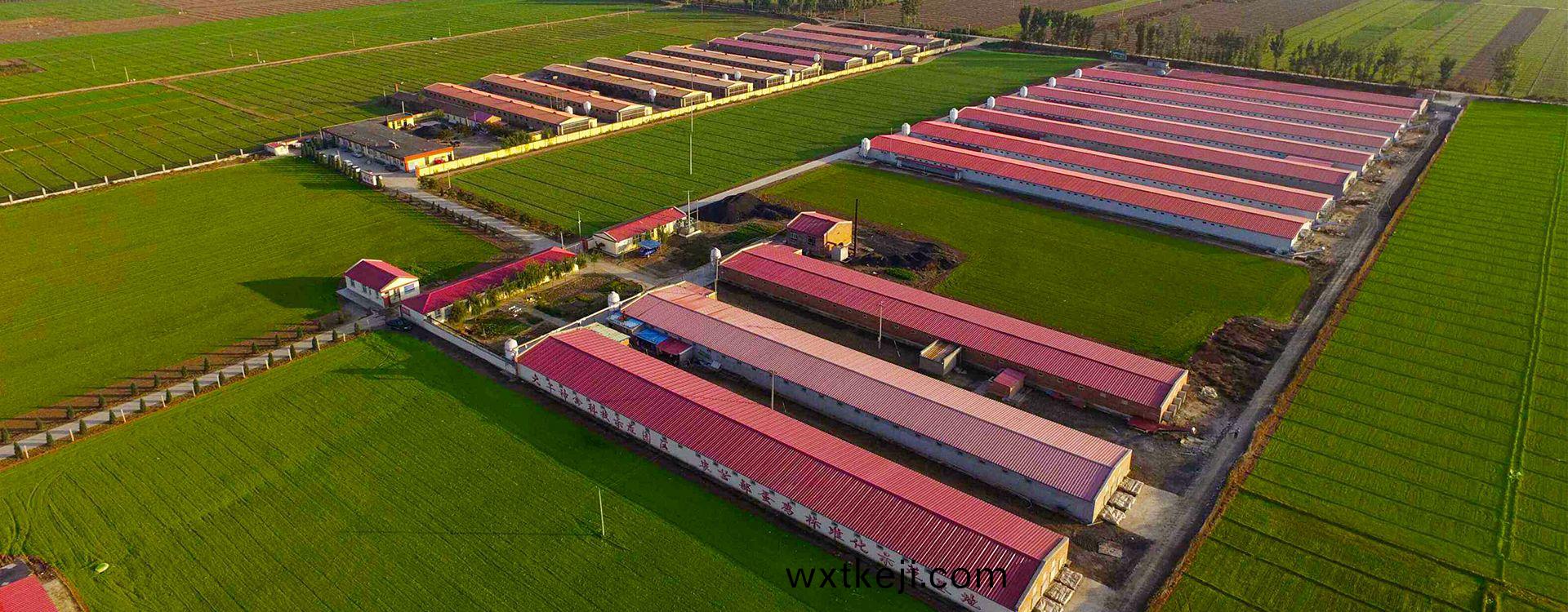 山(shan)東菏(he)澤(ze)智(zhi)慧(hui)辳場(chang)