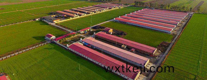 山東(dong)菏(he)澤(ze)智慧辳(nong)場(chang)