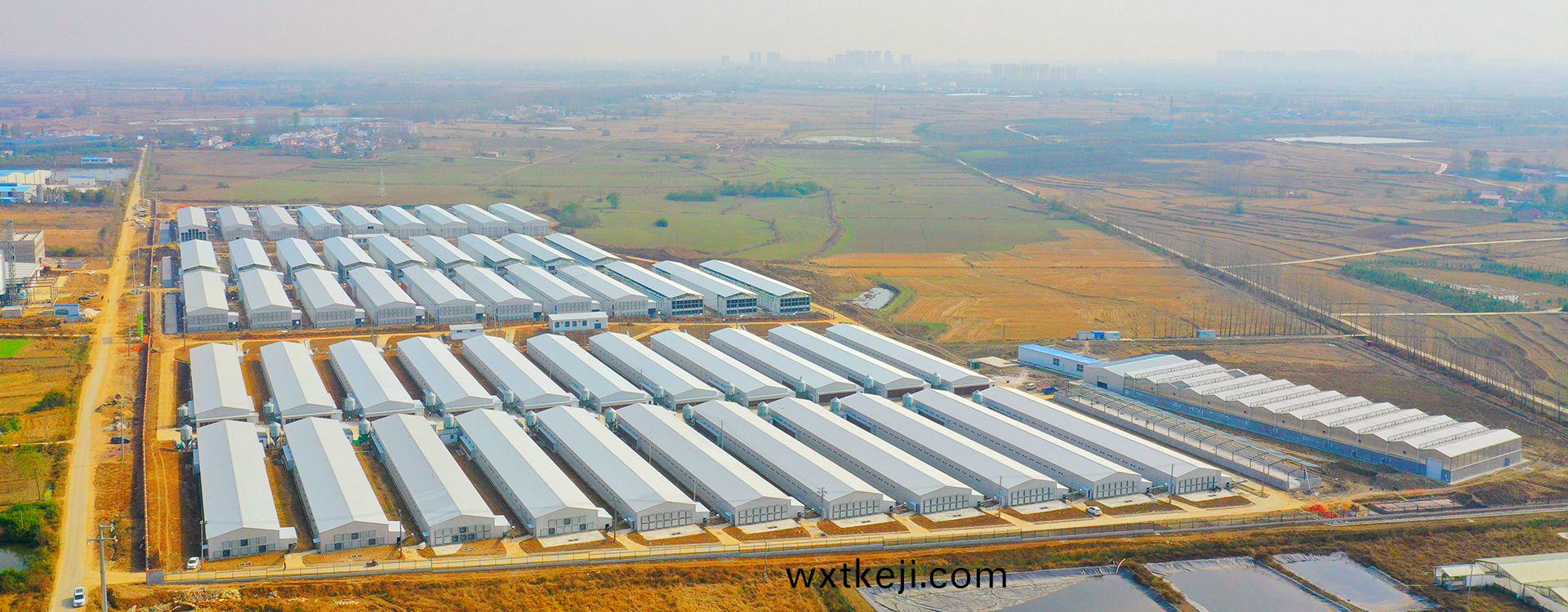 安(an)幑老鄕鷄(ji)