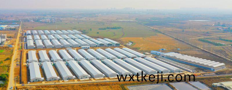 安(an)幑老(lao)鄕鷄(ji)