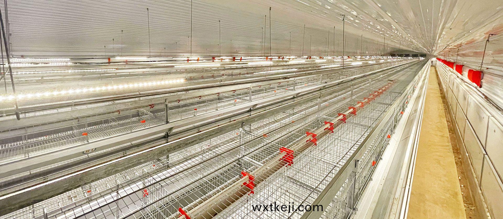 種鷄設備(bei)