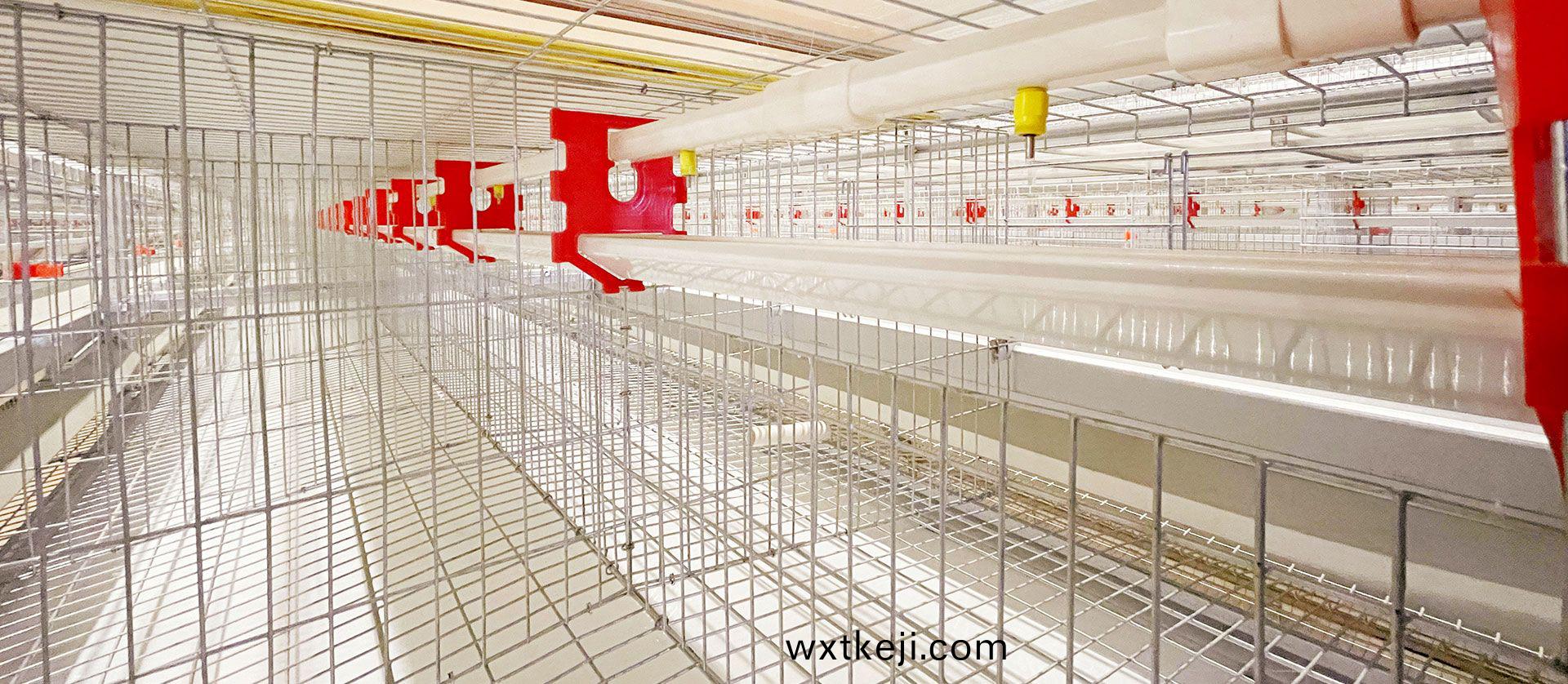 肉鷄設備