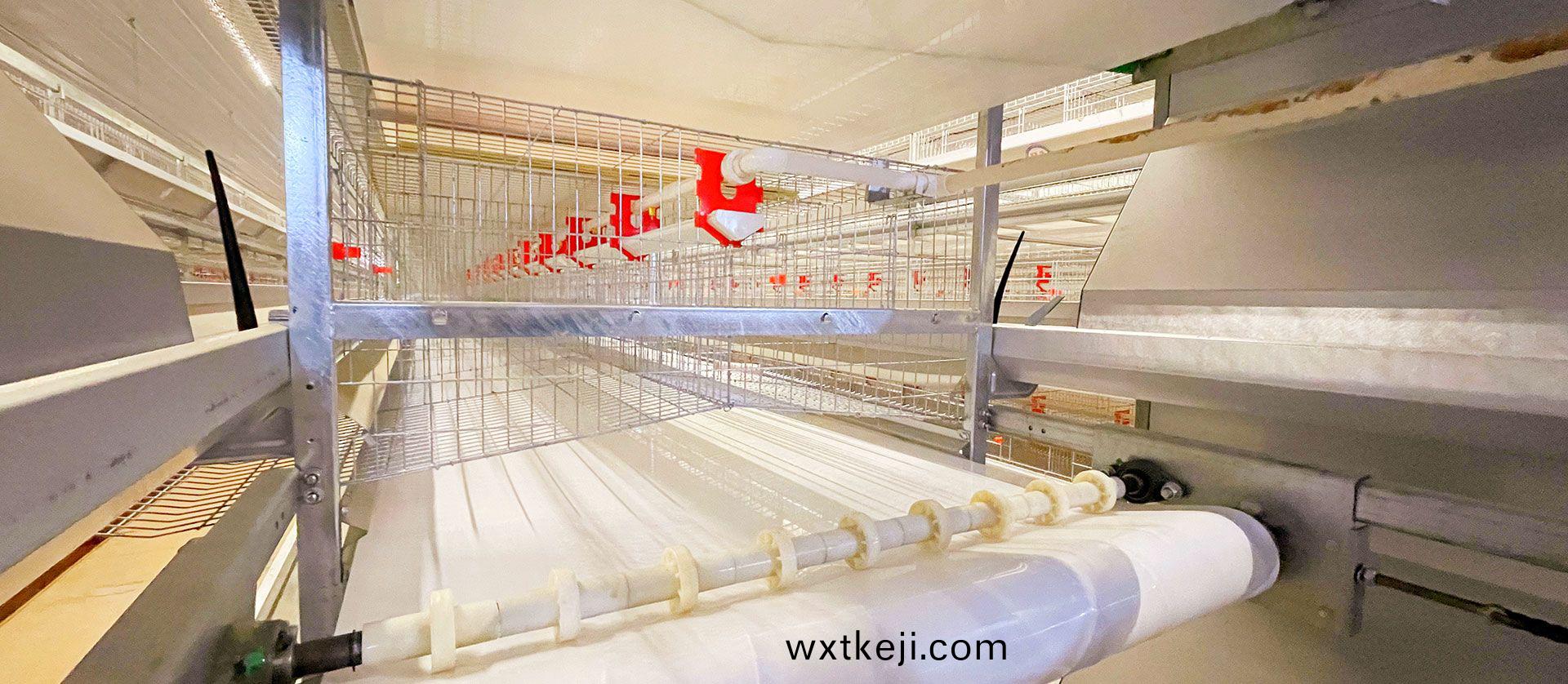 種鷄設備