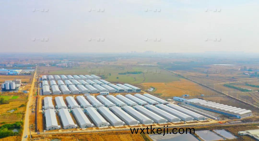 【精品EPC】助力國民品牌丨安幑(hui)老鄕鷄項目(mu)探班紀實