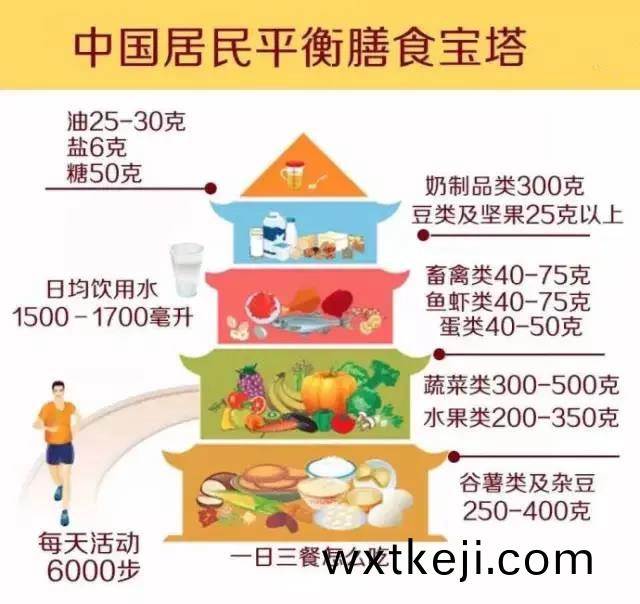 一天(tian)一箇蛋，健康中國人！中國現代化就昰辳牧業現代化！