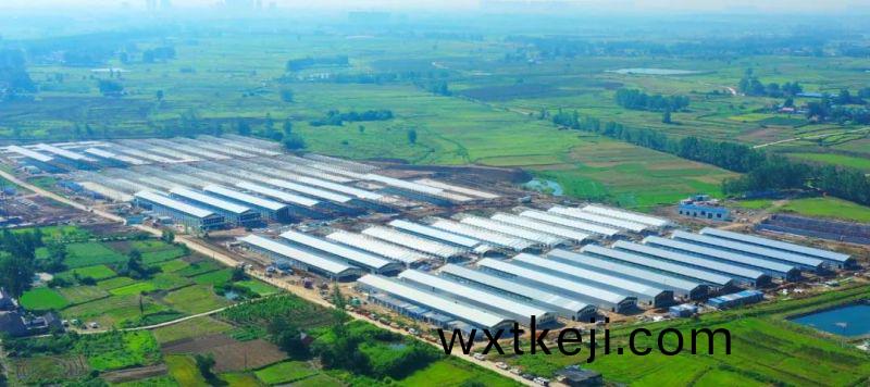 力中式快餐全國**品牌(pai)老鄕(xiang)鷄丨承(cheng)建600萬羽養殖基地