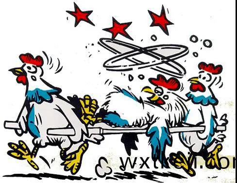 卓一小課堂丨日常爲您護航