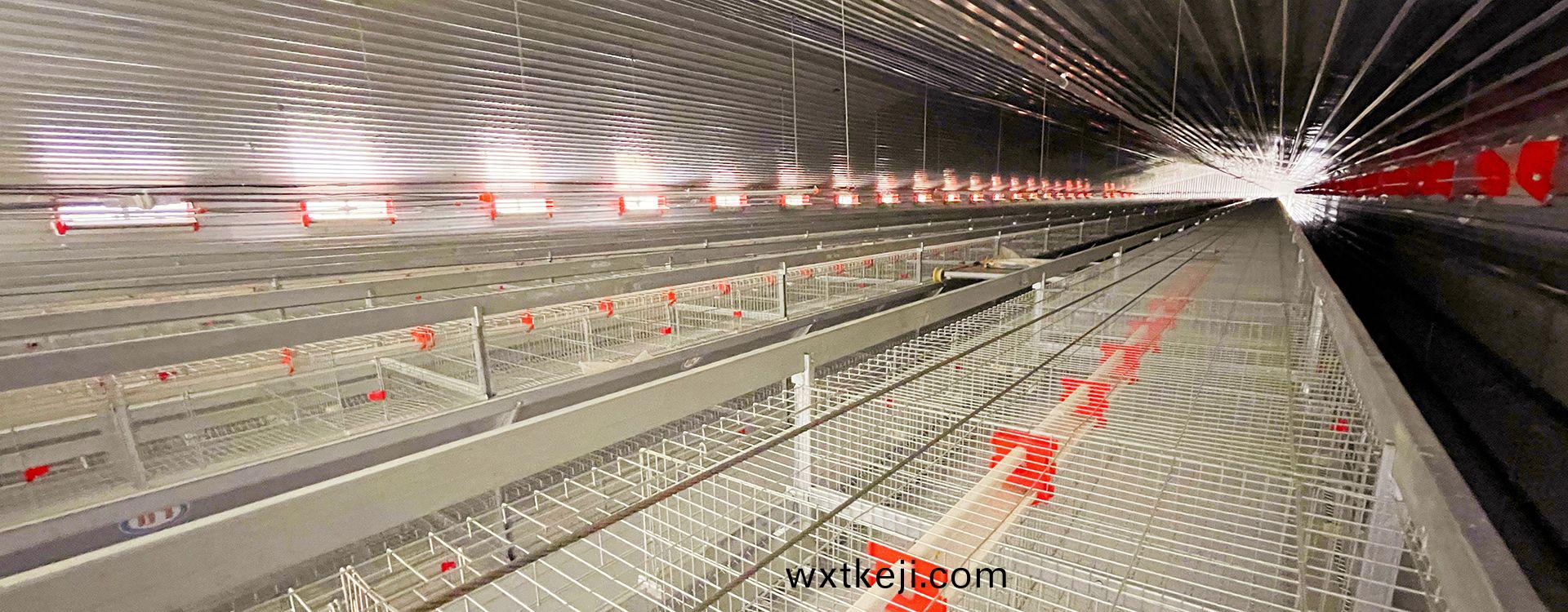 卓一小編建議(yi)：使(shi)用(yong)肉鷄養殖設備要註意這幾(ji)點(dian)