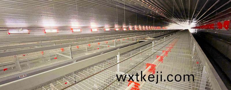 卓一小(xiao)編(bian)建議：使用肉鷄養殖設備要註意這(zhe)幾點(dian)