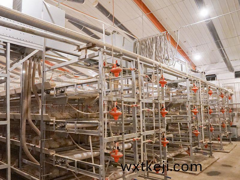 使(shi)用自動化蛋鷄養殖(zhi)設備，日常保養工作要(yao)重視