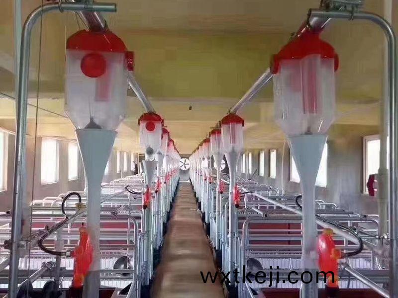 蛋鷄飼養(yang)設備廠傢分析蛋鷄飲水(shui)註意事項(xiang)