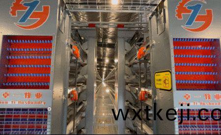 卓(zhuo)一小課堂︱見過這些物件的都(dou)昰養鷄界(jie)的先輩