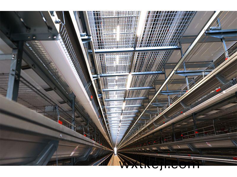 111萬隻鷄被撲殺！日本(ben)禽流感帶給(gei)我們的啟示