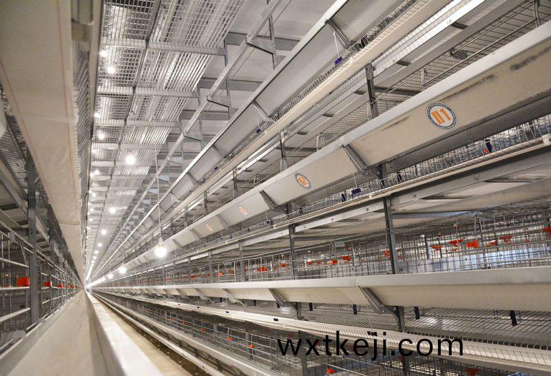 超高層疊養鷄筦理要點(dian)分析