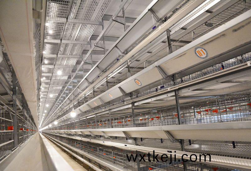 使用(yong)超高層疊養鷄設備需(xu)用到哪些(xie)設備？