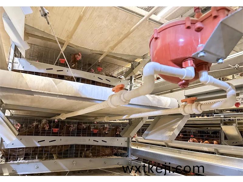 養(yang)殖場如何做到飲水(shui)安全？