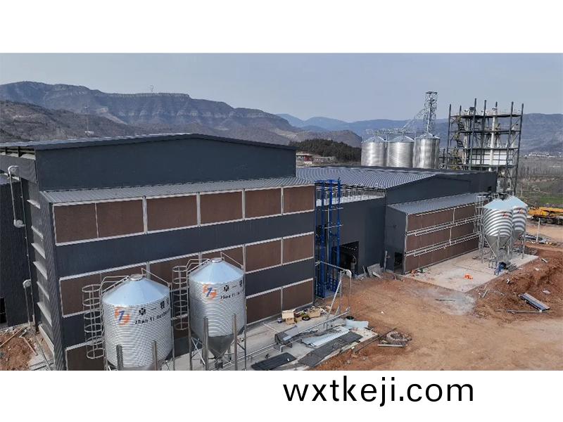 夏季養鷄僅關註溫度環境？飼料安全鬚高(gao)度重視！