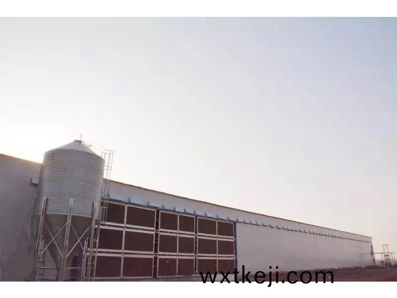 想要把鷄養好，這些(xie)細(xi)節不可忽視(shi)