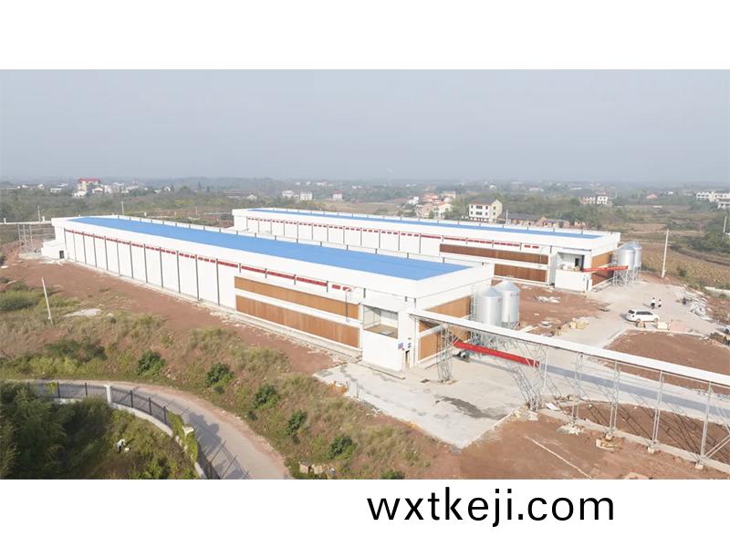 熱烈祝賀西南地區300萬羽(yu)蛋(dan)鷄養殖(zhi)基地驗(yan)收成功(gong)，上鷄(ji)大吉！