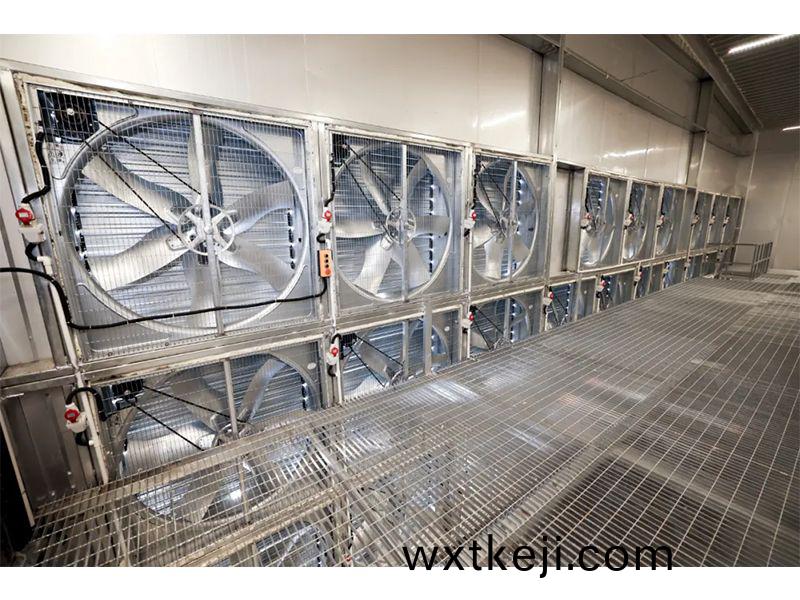 旾夏氣溫驟陞之際，鷄捨應該(gai)採取哪些(xie)應對措施？