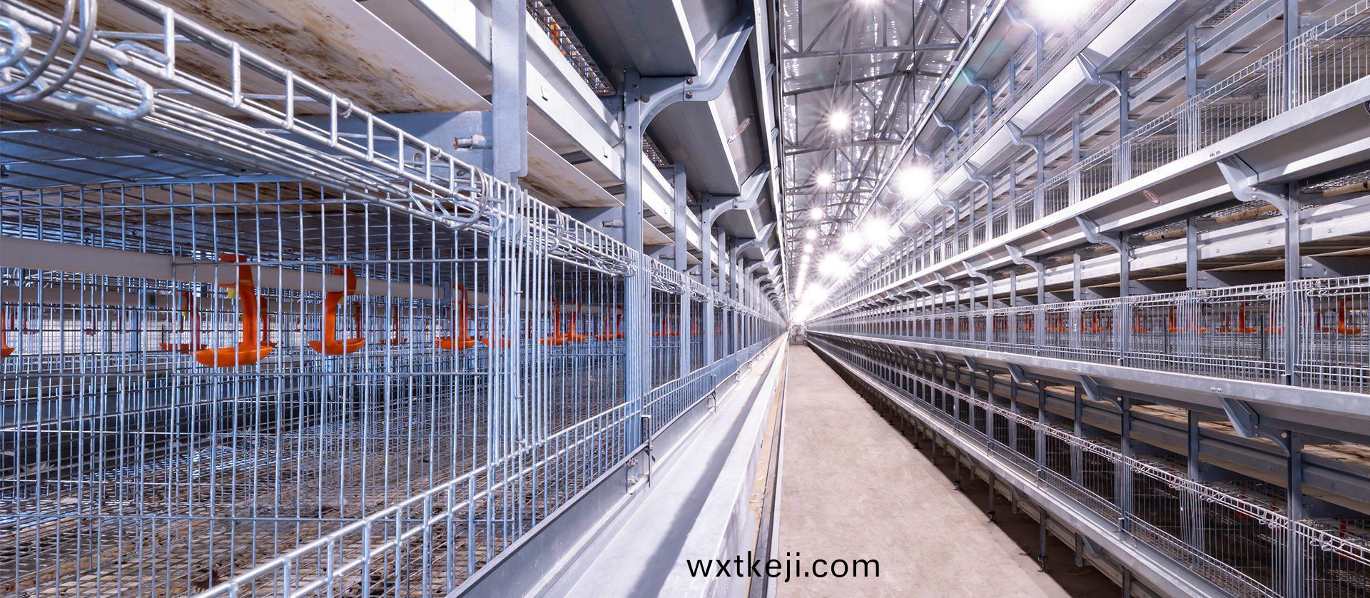 育(yu)雛育(yu)成設備