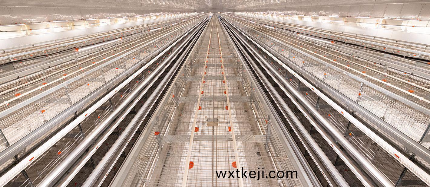 蛋(dan)鷄(ji)設(she)備(bei)