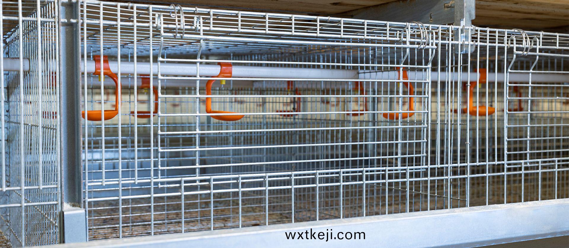 育雛(chu)育(yu)成(cheng)設備(bei)