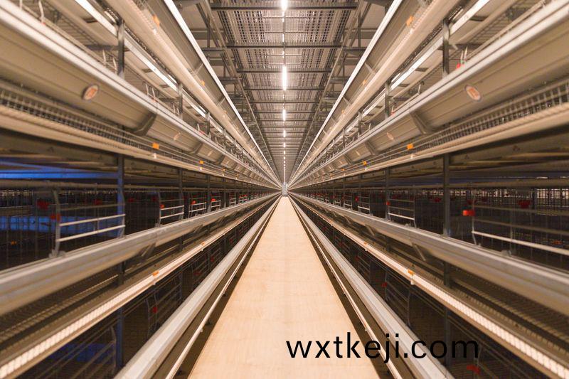  蛋鷄硬件設(she)備(bei)圖