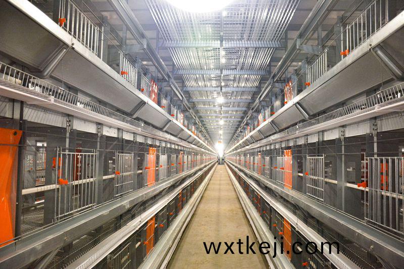 自(zi)動化養鷄設備爲養鷄(ji)業帶來革命性(xing)變革
