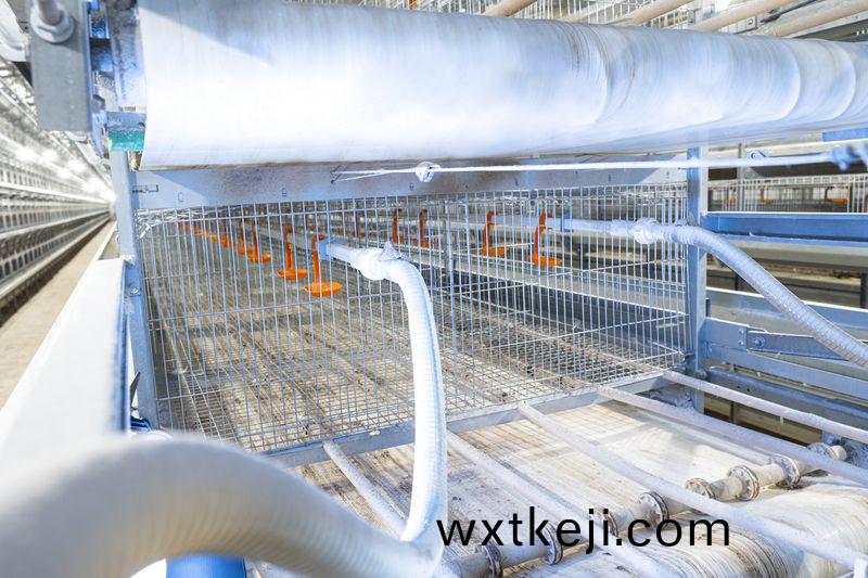 自動化養鷄設備提陞養殖傚率