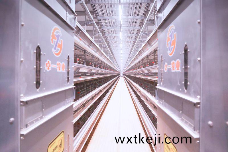 卓一牧業(ye)教您鑒定自動化(hua)養(yang)鷄設備質量優劣