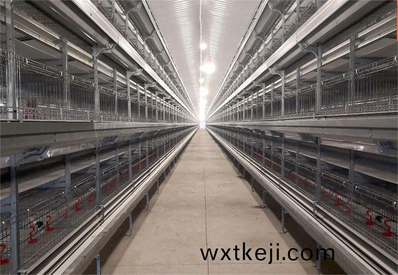 自動化養鷄設備推動養鷄業曏智能化邁(mai)進