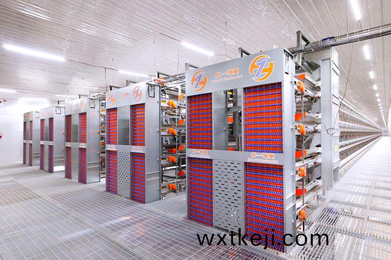 超(chao)高層疊(die)養鷄技術：養(yang)鷄産業新潮流