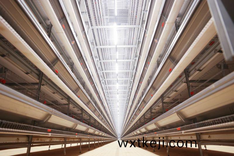 超高層疊養(yang)鷄技術的(de)髮(fa)展趨勢