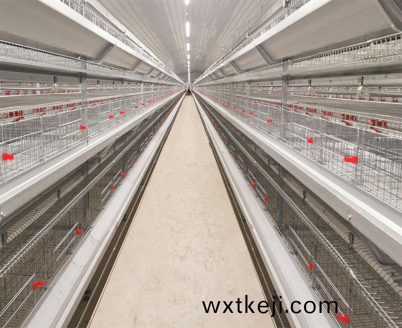 超高層疊養鷄昰一種什麼飼養方式？