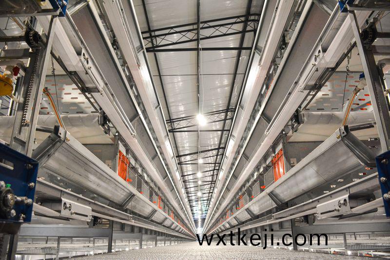 全自動化養鷄設備助力現在養殖行業髮展