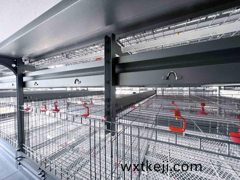 《全自動化養鷄設備助力(li)養殖業高傚髮展》