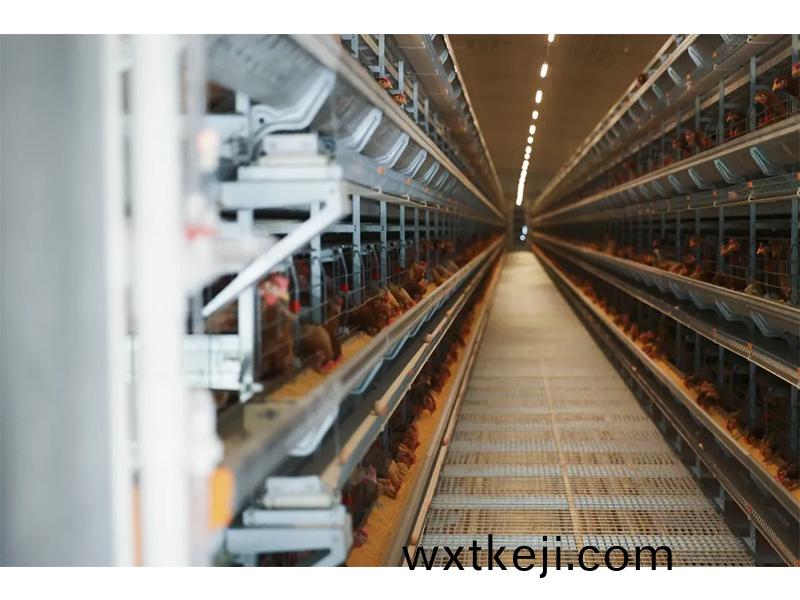 槼糢養鷄場如何防範咊應對雷暴大風等強對流天氣？