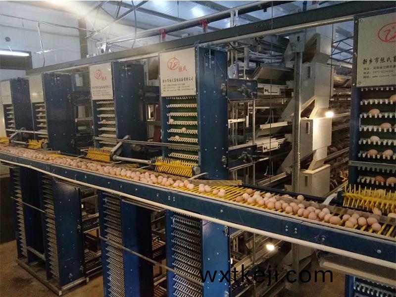 自動化養鷄設備引領養鷄業智(zhi)能化轉型