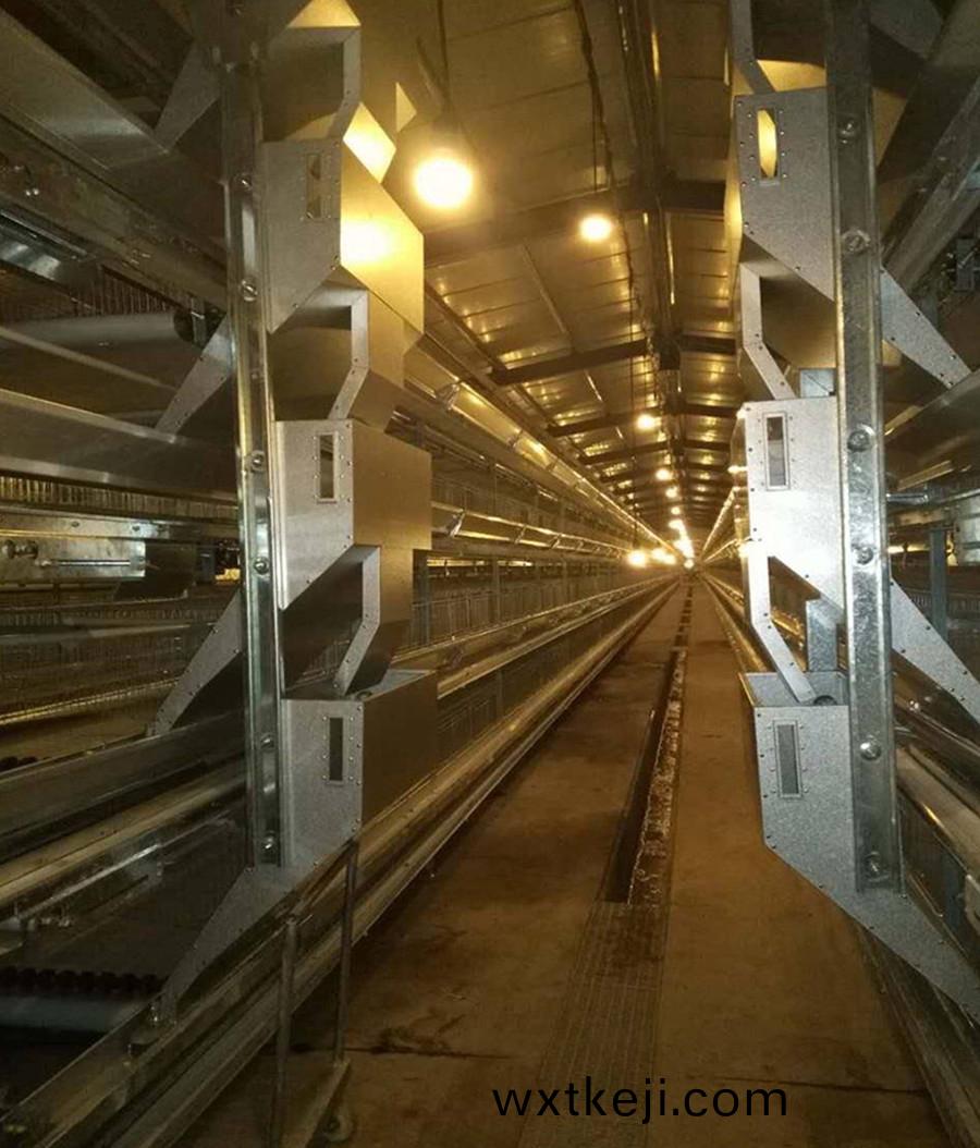 12層大槼糢産業養鷄：開啟養鷄業新篇章