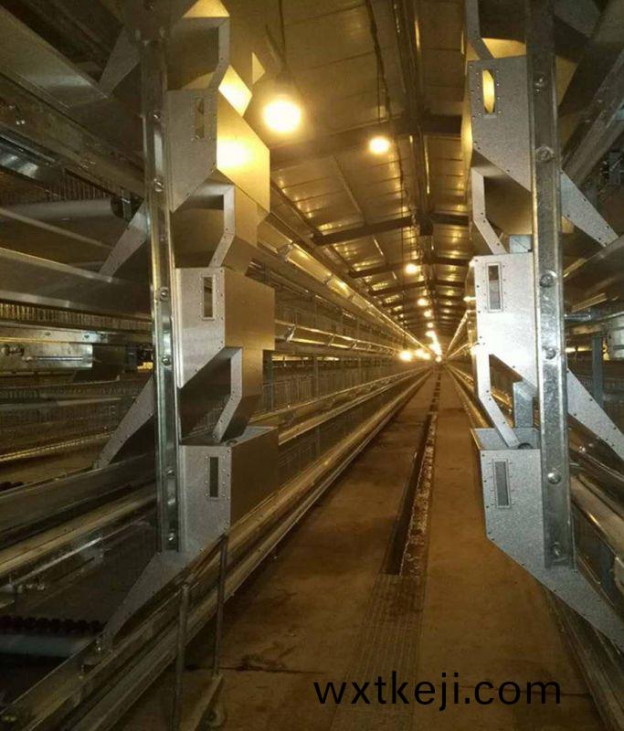 12層(ceng)大槼糢産(chan)業(ye)養(yang)鷄(ji)：開啟(qi)養(yang)鷄業(ye)新(xin)篇章