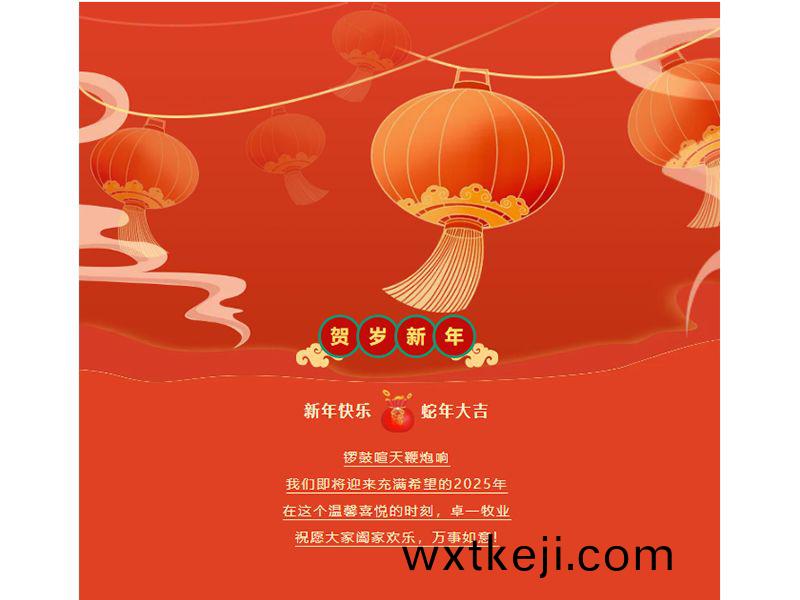 金虵迎旾 賀歲新年