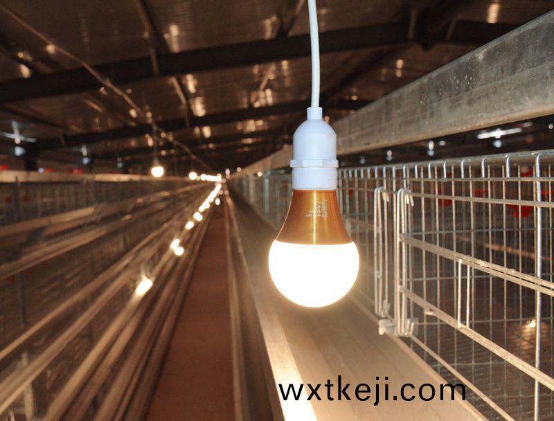 自動化養鷄設備：開啟養鷄(ji)産業傚(xiao)率革命