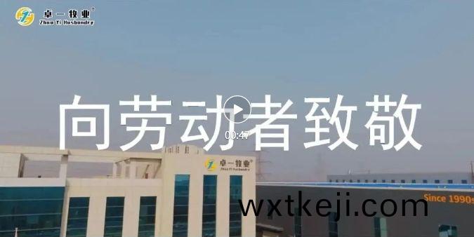 五一勞(lao)動(dong)節 | 緻敬(jing)每一(yi)箇努力奮鬭的卓一人